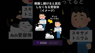 【薬学ゴロ合わせ】スキサメトニウム（持続的脱分極性筋弛緩薬）　【四国めたん】#shorts　#薬学　#薬学部