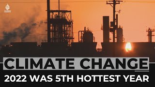 Report: 2022 was the fifth-hottest year on record