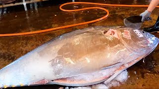 Unparalleled Superb Cutting Skill for 415kg Super-Giant Bluefin Tuna / 415公斤超巨大黑鮪魚流暢無比的高級切割技術