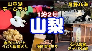 【山梨県】ホテル石庭の屋上露天風呂の満天の星空を見上げっぱなしで、忍野八海綺麗過ぎ山中湖チームラボ綺麗過ぎ白鳥も綺麗すぎ！山梨は綺麗なものしかないの？綺麗なものばかり見た地元民に遊んでもらった最高の旅