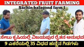 ಸೇಬು ಕೃಷಿ ಅನುಭವ | 9 ಎಕರೆಯಲ್ಲಿ 35 ವಿಧದ ಹಣ್ಣಿನ ಗಿಡಗಳು | apple farming in Kannada | integrated farming