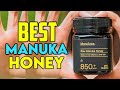 Top 7 Best Manuka Honey Brands in 2024 - Best Manuka Honey