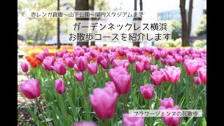 山下公園〜関内スタジアムまで花散歩