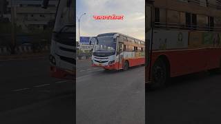 SOLAPUR TO LATUR SLEEPER ST #msrtc #msrtcbus #bus #have #publictransport #solapur #latur #1k #100