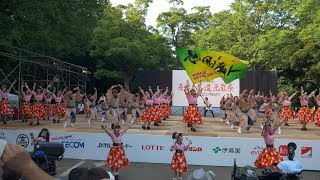 ぬまづ熱風舞人さん 日曜•神宮会館 原宿表参道元氣祭スーパーよさこい2017