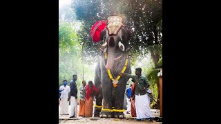 ചാലിച്ചിറ രാജീവ്‌ഏട്ടനും ഇത്തിത്താനം വിഷ്ണുനാരായണനും- Chalichira Rajeev \u0026 Ithithanam Vishnunarayanan