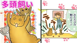 【漫画】またたび大好き♡猫の多頭飼いの日常♪『ゆかいな多猫ライフ　1-③話』│ペット宣言