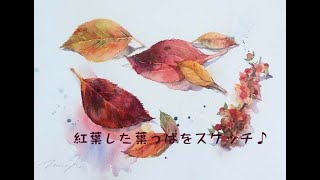 紅葉した葉っぱをスケッチ♪