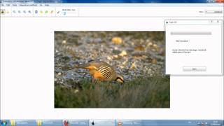 Interactive Image Segmentation.mp4