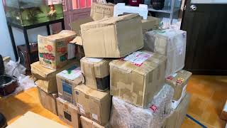 Japanese rice cooker auction. Open and quote new products (0946637534) Hoang Kim rice cooker