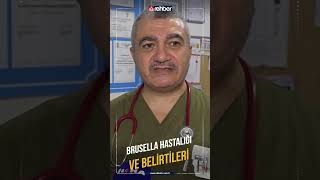 Brusella Hastalığı Ve Belirtileri | Dahiliye Uzmanı Dr. İncememet Sunal