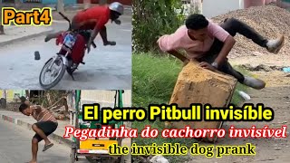 el perro Pitbull invisível /Pegadinha do cachorro invisível / the invisible dog prank
