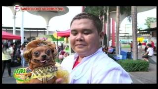 AGRITV FEBRUARY 12, 2017 HAPPY PETS 101 Pawsitively In Love  Event