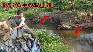 PANEN JALA IKAN KERLING DISUNGA/DIALUR SUNGAI!!!