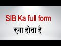 what is the full form of SIB | SIB का full form क्या होता है ? | full form of SIB | #SIB