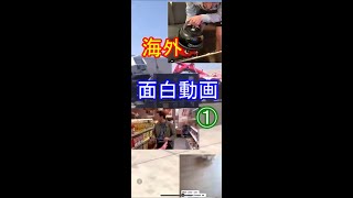 蛇は怖い!!海外おもしろ動画①