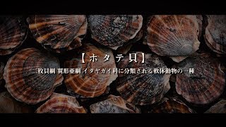 【人類とホタテ貝の歴史】ホタテ貝と共に生きる、その町の名は