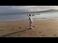 tou hau 36 tai chi dao 36式太极刀