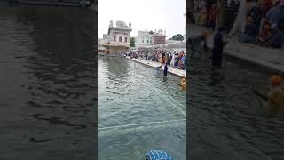 Sarovar di Sewa at Darbar Sahib 🙏🙏 || Golden Temple Sarovar Sewa 🙏 || Baitha Soddi Patshah 🙏