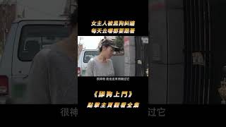 女子天天被流浪狗尾隨，本以為要求收養，沒想居然是上門認親#shorts