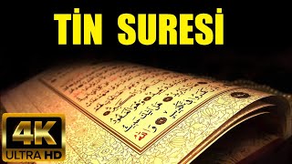 Tekrarlı Tin Suresi - سورة التين مكررة