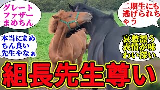 まめちん先生は一生懸命頑張ってます！に対するみんなの反応集