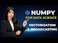 NumPy Broadcasting & Vectorization Explained (With Simple Examples)