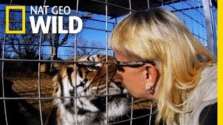 Trailer | Animal Intervention