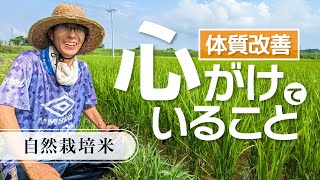 化学物質過敏症になった原因と対策｜安藤光一の自然栽培米（自然栽培米専門店ナチュラルスタイル）