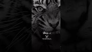 Chobbar - Jordan Sandhu (Official Video) Jayy Randhawa - Movie Rel 11 Nov - Geet MP3