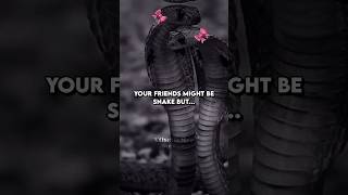 Friends are snakes..😔 #trending #aesthetic #shorts #fyp #viral #relatable #xtheticMee #views