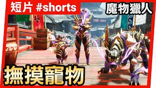 撫摸寵物 #shorts