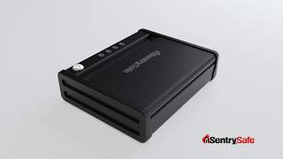 SentrySafe QAP1E Pistol Safe: 360 Degree Overview