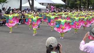 とらっくよさこい（ちふれ）【4K】／NHK前ストリート（初日）／明治神宮奉納 原宿表参道元氣祭 スーパーよさこい2023