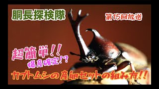 【超簡単】カブトムシの産卵セットの組み方！！【カブトムシ】