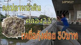 ตกปลาหน้าดิน คลอง 13 เหยื่อกุ้งฝอย 30 บาท จะได้ปลาอะไร! LGFT#117