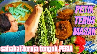 PETIK sayur keladi lambuk, peria,ada ubi yacon,kacang panjang dan stwberry 🍓 terus masak.