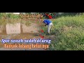 MANCING BELUT SPESIAL IDUL ADHA || SPOT SAWAH STRIKE BERTUBI TUBI #mancingmania #belut #eelsfishing