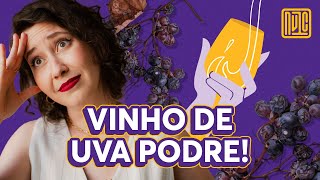 Provei CHOPP DE VINHO pela primeira vez