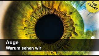 Auge - Warum sehen wir | Trailer MedienLB