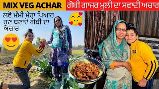 Gajar Gohbi Mooli Ka Achar |Punjabi Style Chatpta Achar| ❤Desi Lifestyle❤