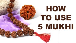 5 Mukhi Rudraksha (Eng Subs) | Five mukhi rudraksha do's and don'ts | Panch mukhi Rudraksha mala