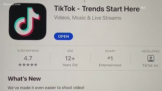 TikTok sues US government over potential ban. Here's why | U.S. Politics News