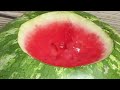 how to make watermelon taste sweet