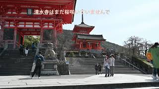 2021年3月17日平日の京都清水寺。花見前に行っとかないと蜜になりそうなので・・・・。