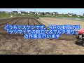 【サツマイモ栽培】畝立てとマルチ張り作業