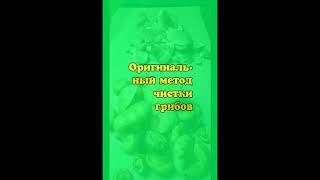 Оригинальный метод чистки грибов 1L1927