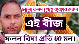 বাজারে সেরা ভূট্টা বীজ। ৫০ থেকে ৬০ মণ‌ পাবেন প্রতি বিঘায়।