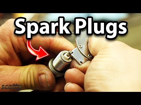 What You Need to Know about Spark Plugs for Your Car What You Need to Know about Spark Plugs for Your Car