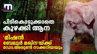 'മിഷൻ ബേലൂർ മഖ്ന'യ്ക്ക് ഡോ.അരുൺ സക്കറിയയും; പിടികൊടുക്കാതെ കുഴക്കി ആന